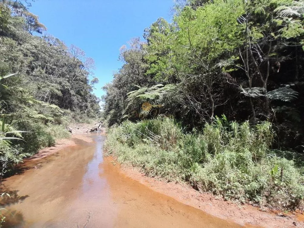 Sítio, 2 quartos, 6 m² - Foto 28