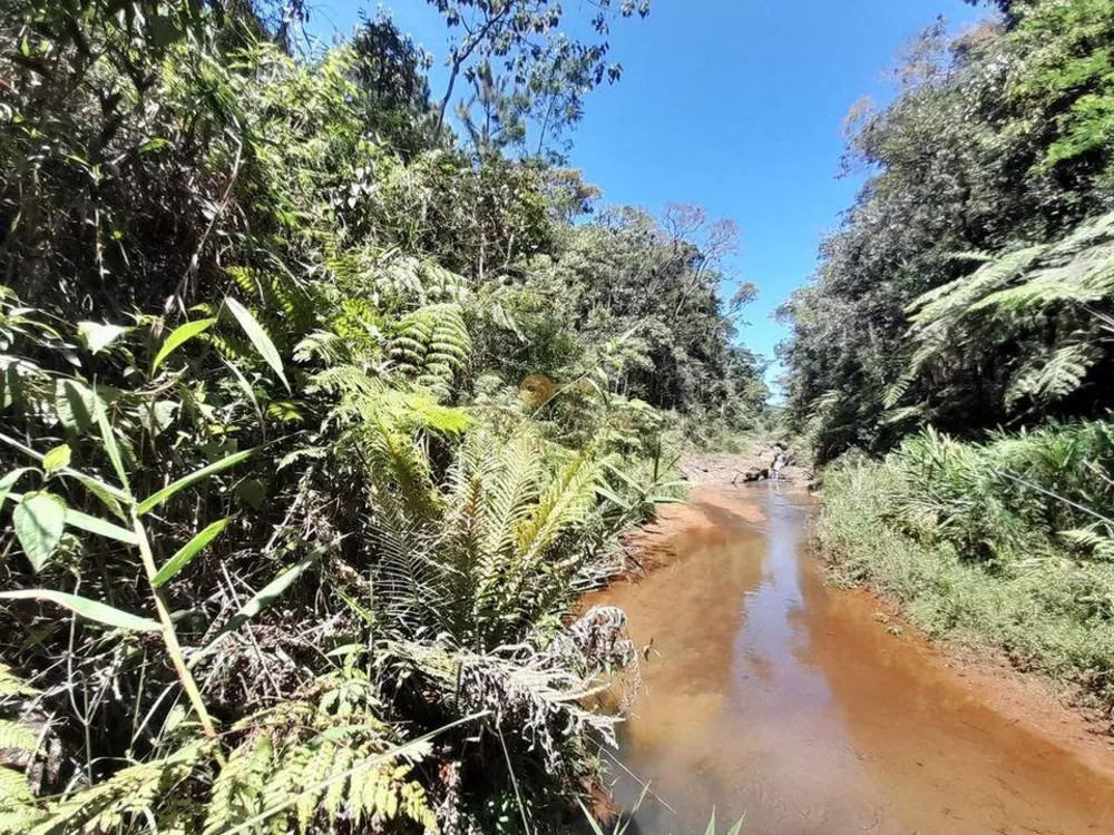 Sítio, 2 quartos, 6 m² - Foto 27