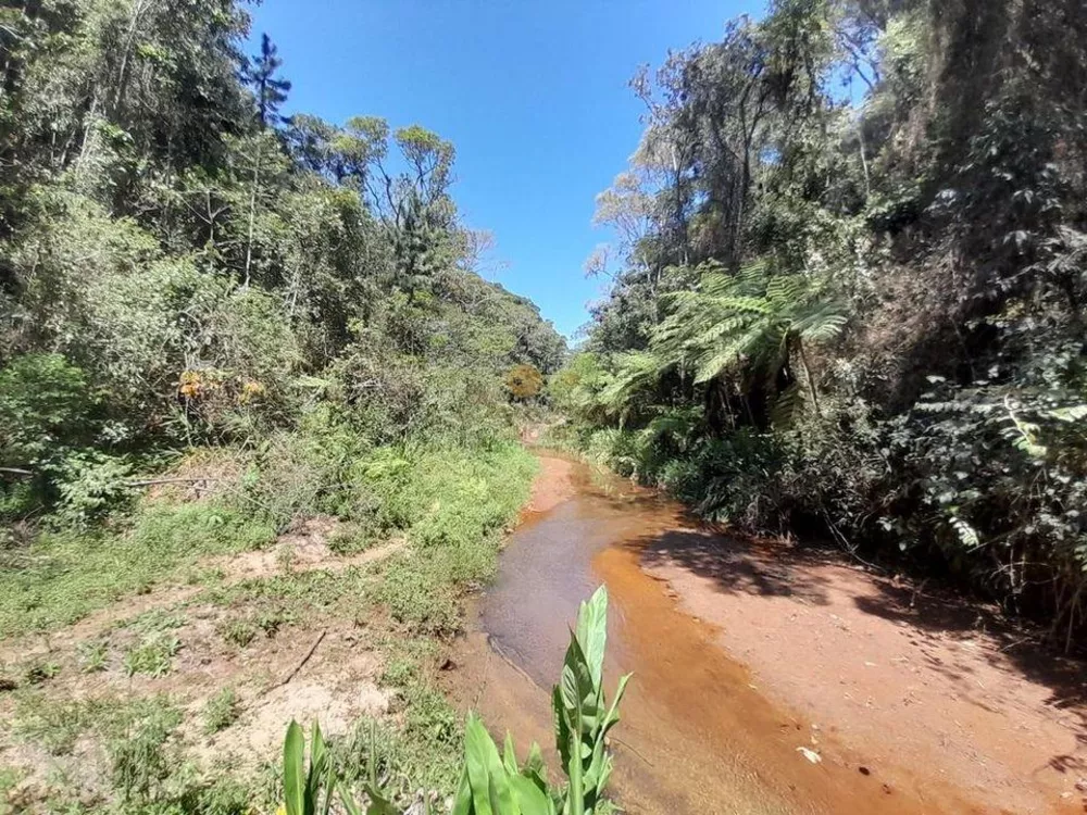 Sítio, 2 quartos, 6 m² - Foto 31