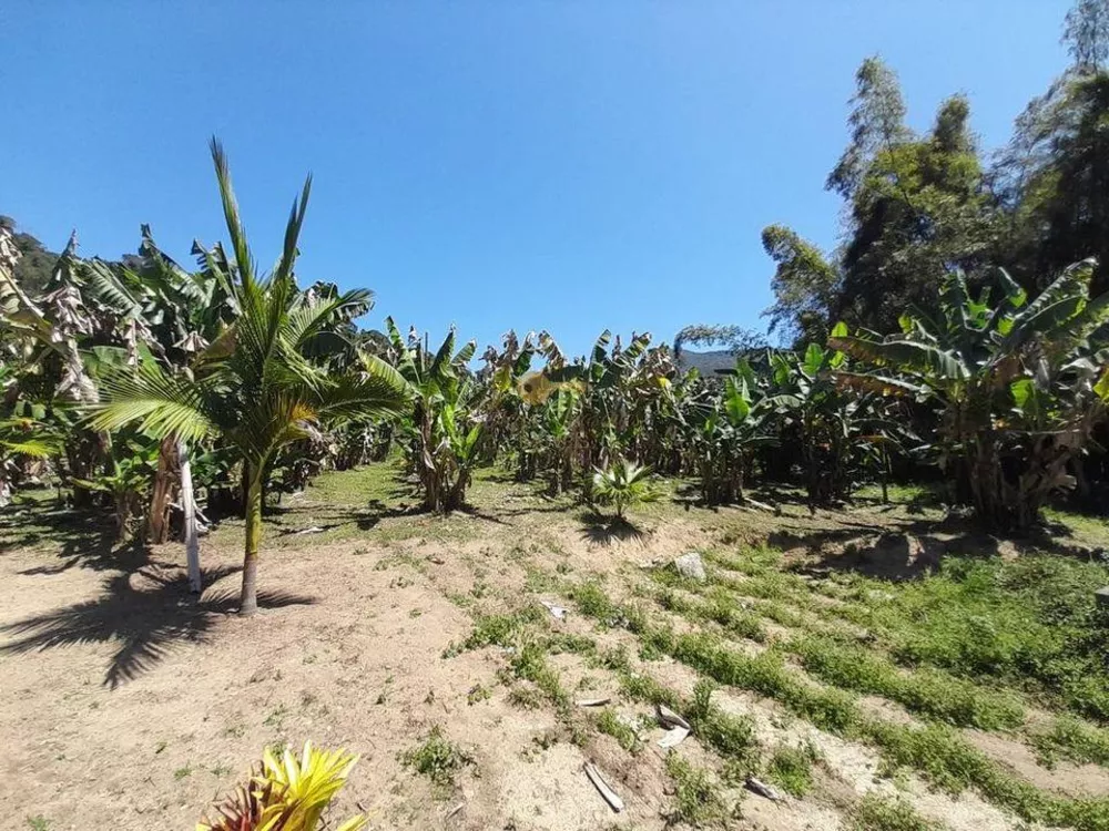 Sítio, 2 quartos, 6 m² - Foto 33