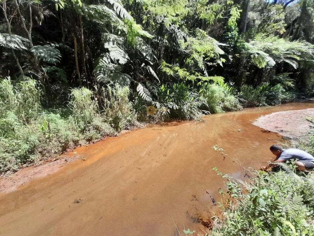 Sítio, 2 quartos, 6 m² - Foto 29