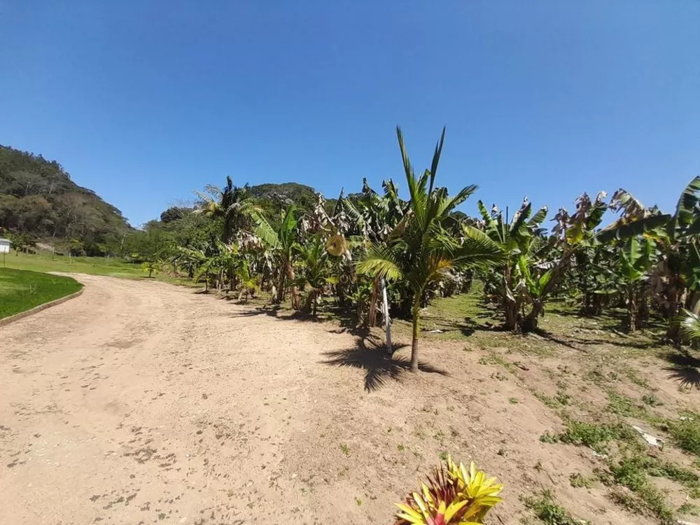 Sítio, 2 quartos, 6 m² - Foto 34