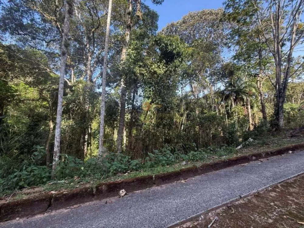 Terreno, 1000 m² - Foto 3