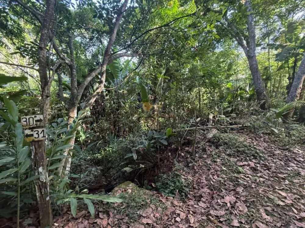 Terreno, 1000 m² - Foto 19