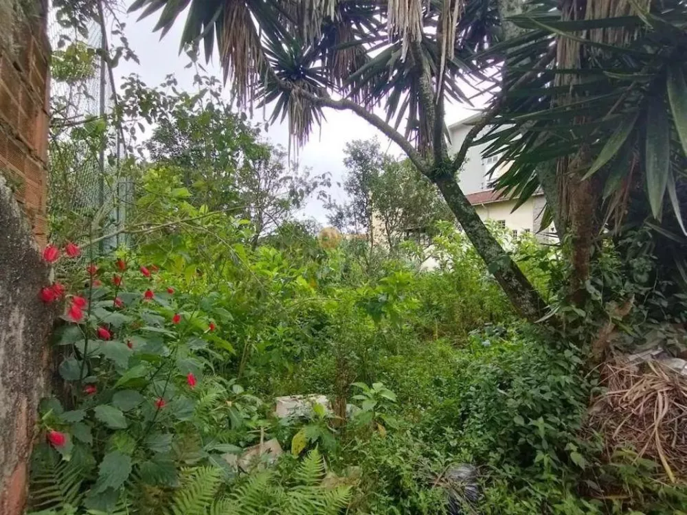 Terreno, 1000 m² - Foto 6