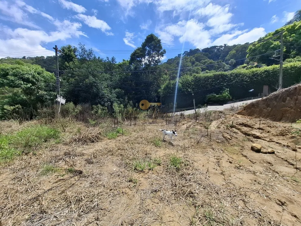 Terreno, 600 m² - Foto 10
