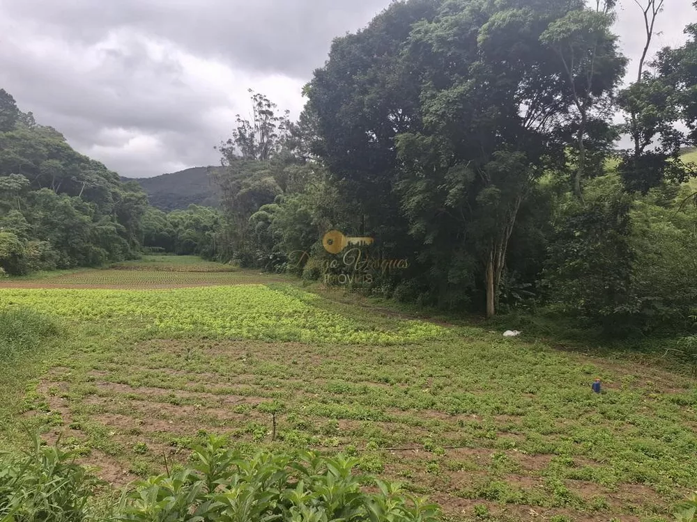 Sítio, 5 quartos, 10 hectares - Foto 35