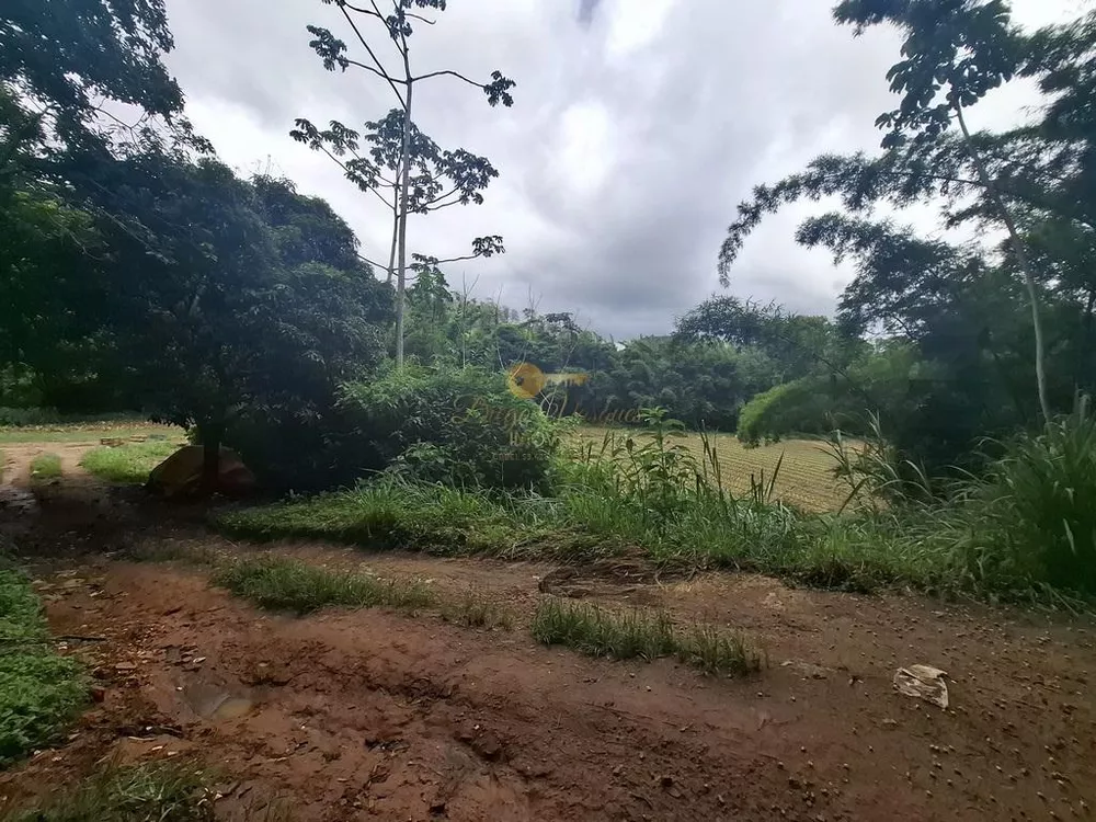 Sítio, 5 quartos, 10 hectares - Foto 6