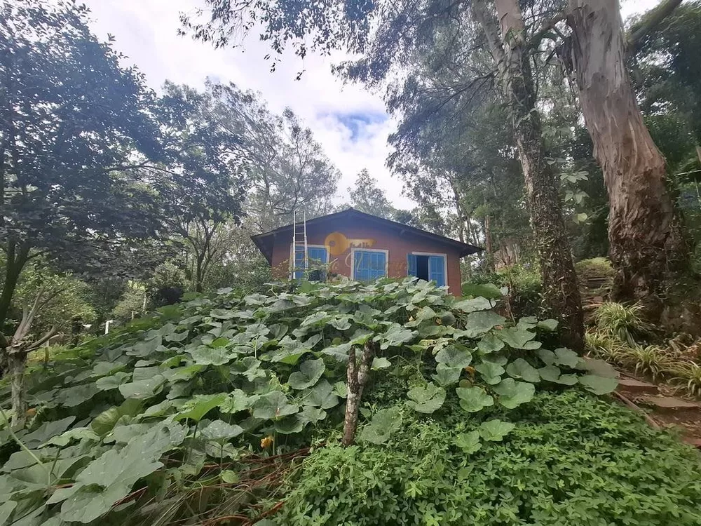Sítio, 5 quartos, 10 hectares - Foto 3