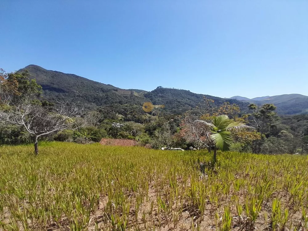 Casa, 4 quartos, 2075 m² - Foto 24