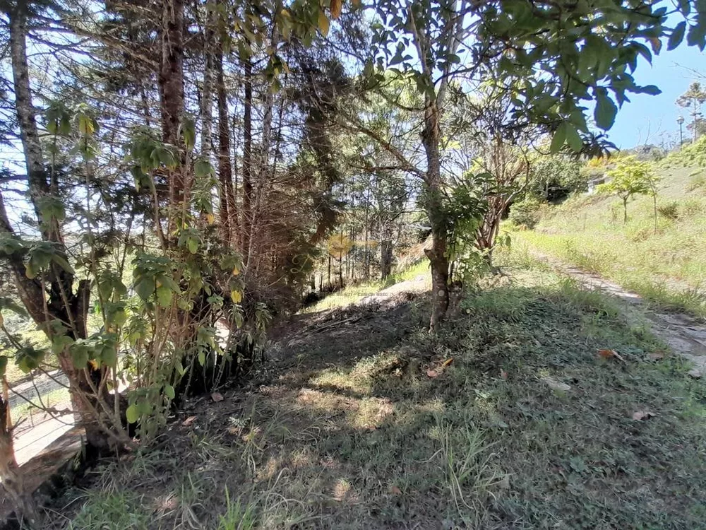 Casa, 4 quartos, 2075 m² - Foto 30