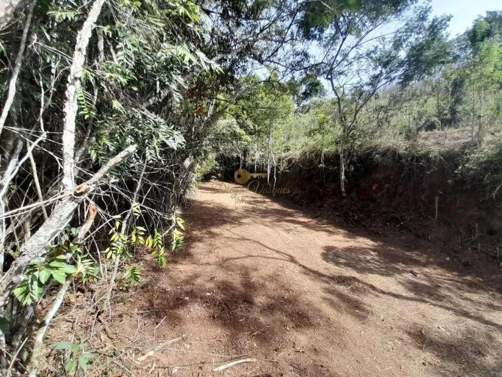 Terreno, 5237 m² - Foto 7