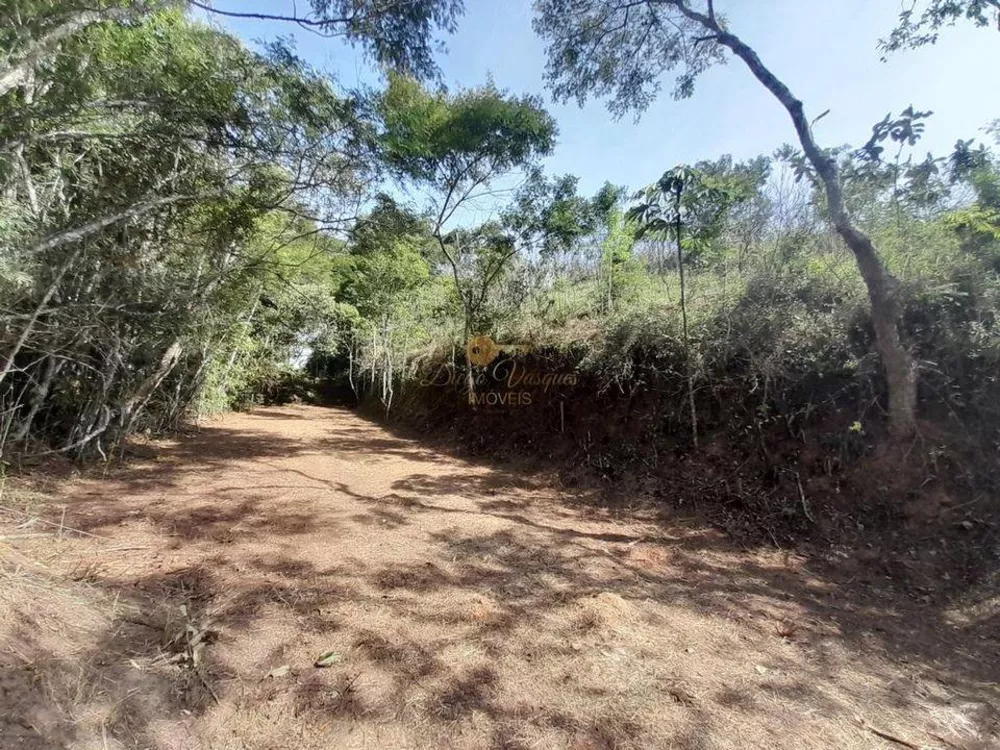 Terreno, 5237 m² - Foto 2