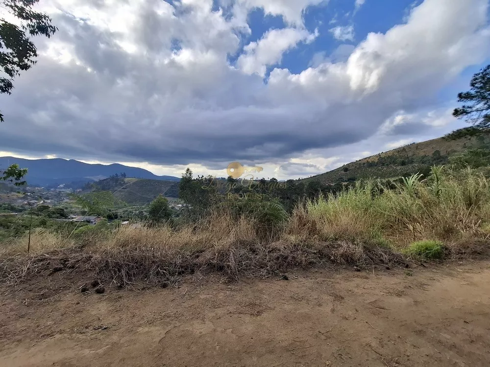 Terreno, 4865 m² - Foto 6