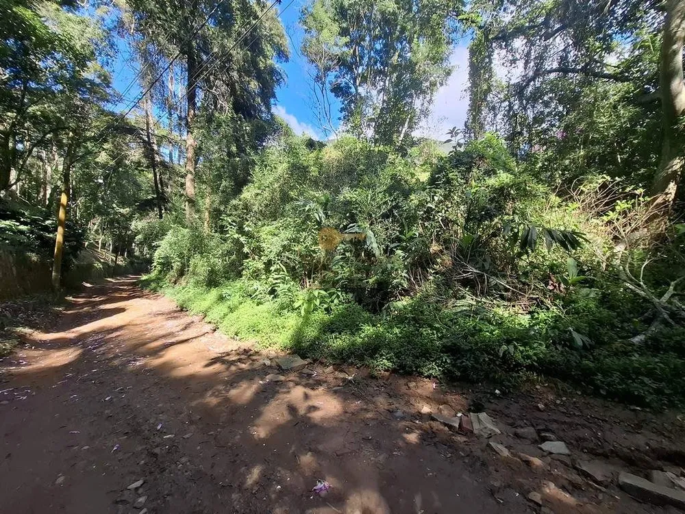 Terreno, 1 hectares - Foto 9