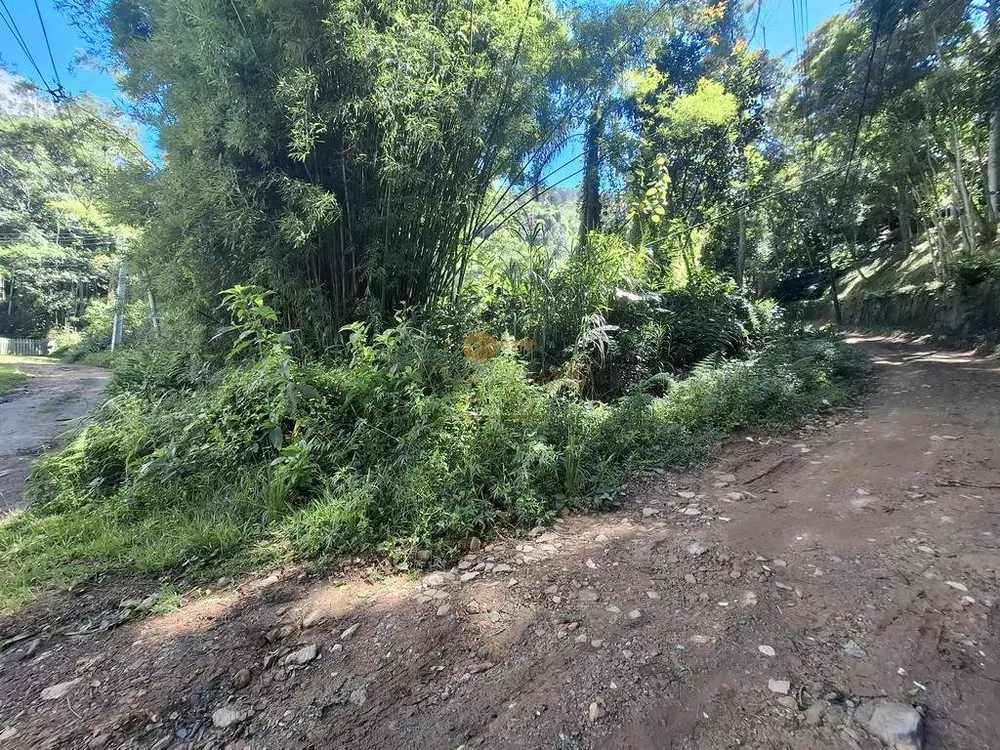 Terreno, 1 hectares - Foto 3