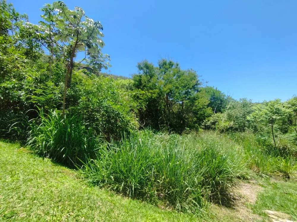 Terreno, 1751 m² - Foto 4