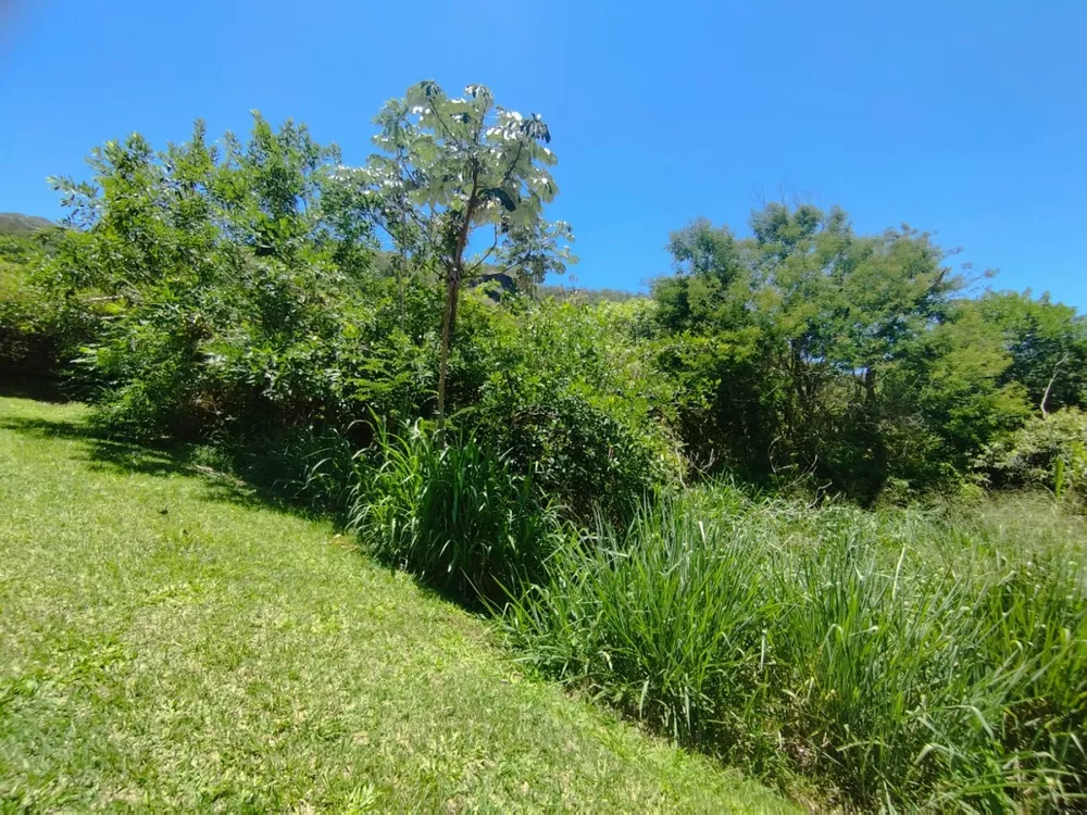 Terreno, 1751 m² - Foto 3