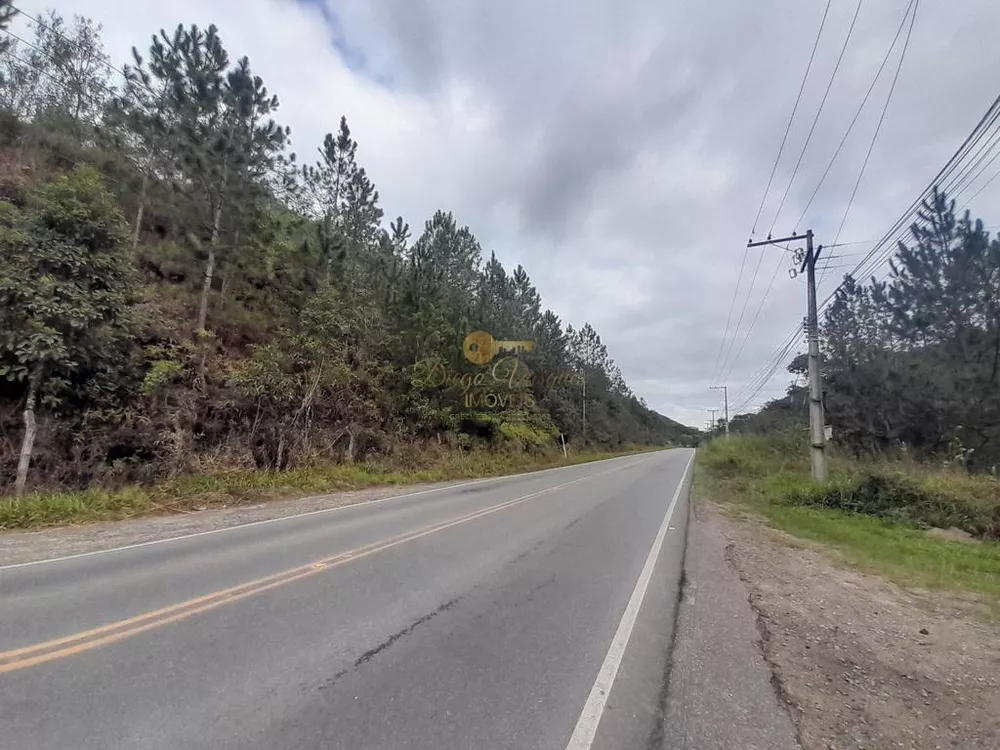 Terreno, 23 hectares - Foto 4