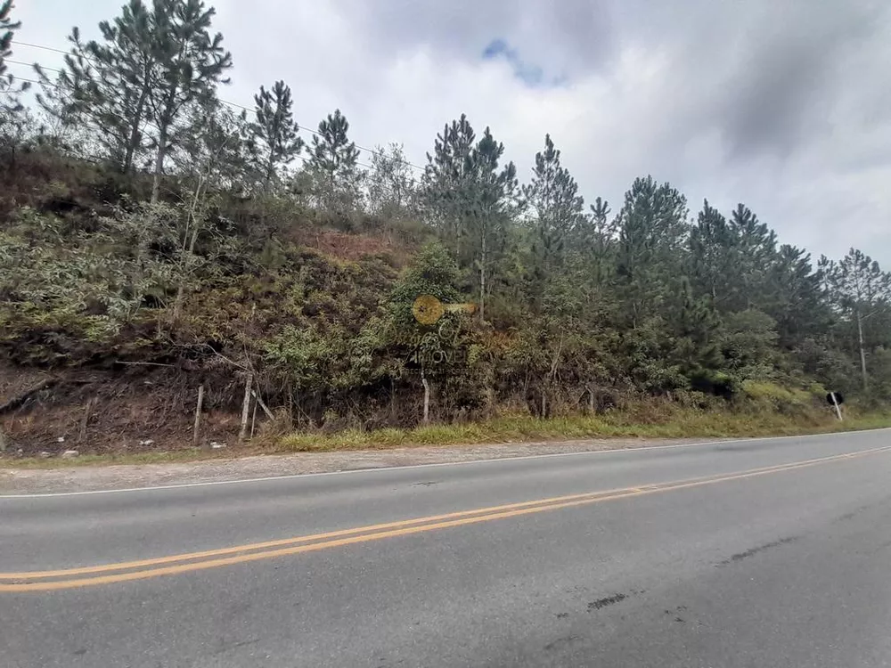 Terreno, 23 hectares - Foto 5