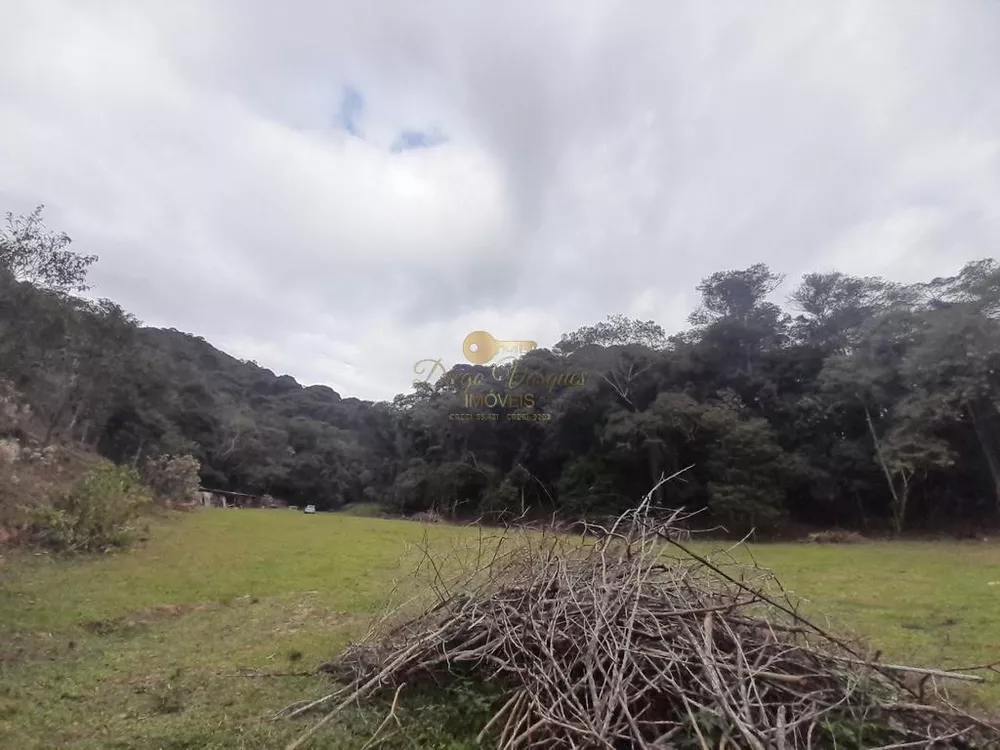 Terreno, 23 hectares - Foto 17