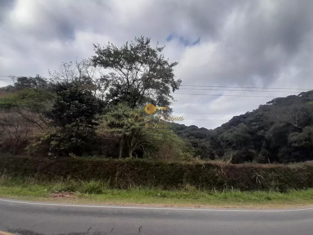 Terreno, 23 hectares - Foto 8