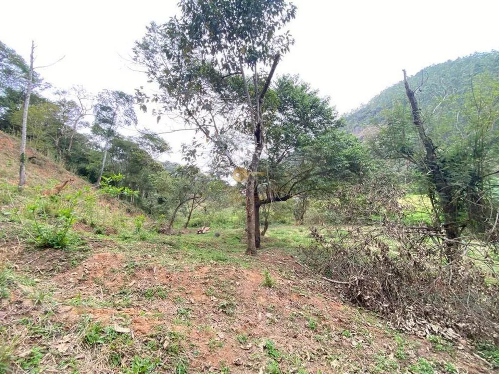 Terreno, 2019 m² - Foto 6