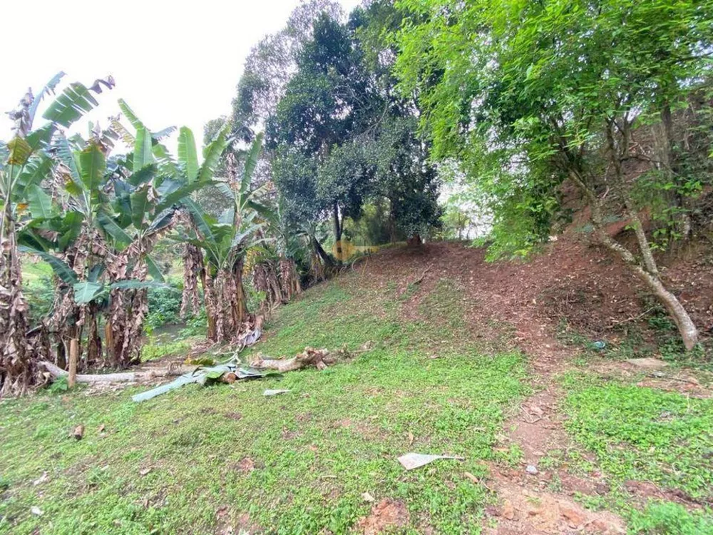 Terreno, 2019 m² - Foto 8