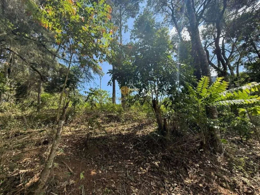 Terreno, 2994 m² - Foto 14