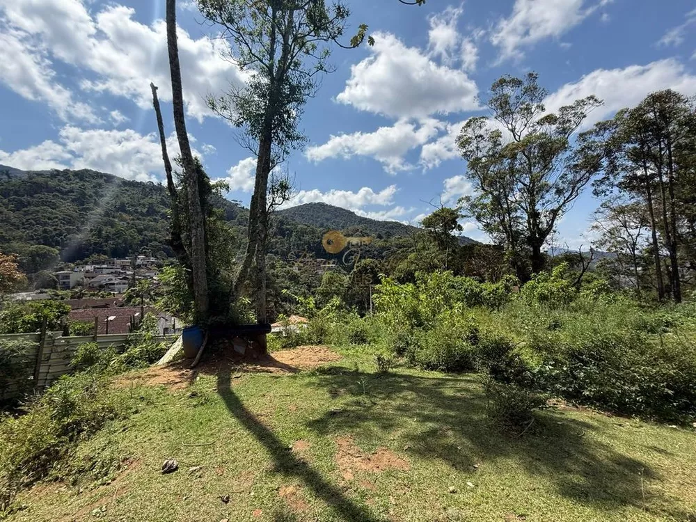Terreno, 2994 m² - Foto 2