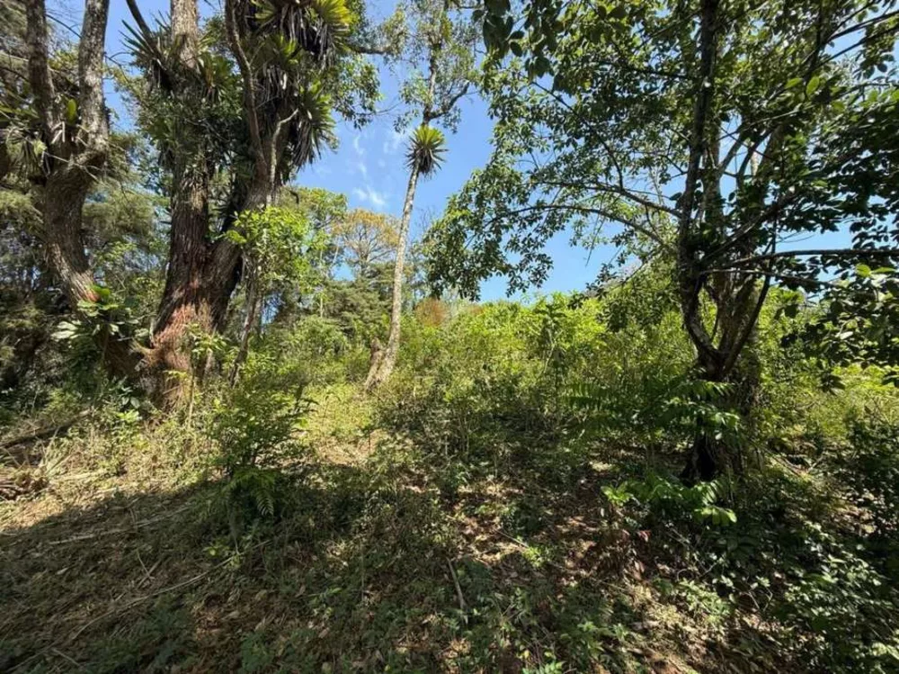 Terreno, 2994 m² - Foto 13