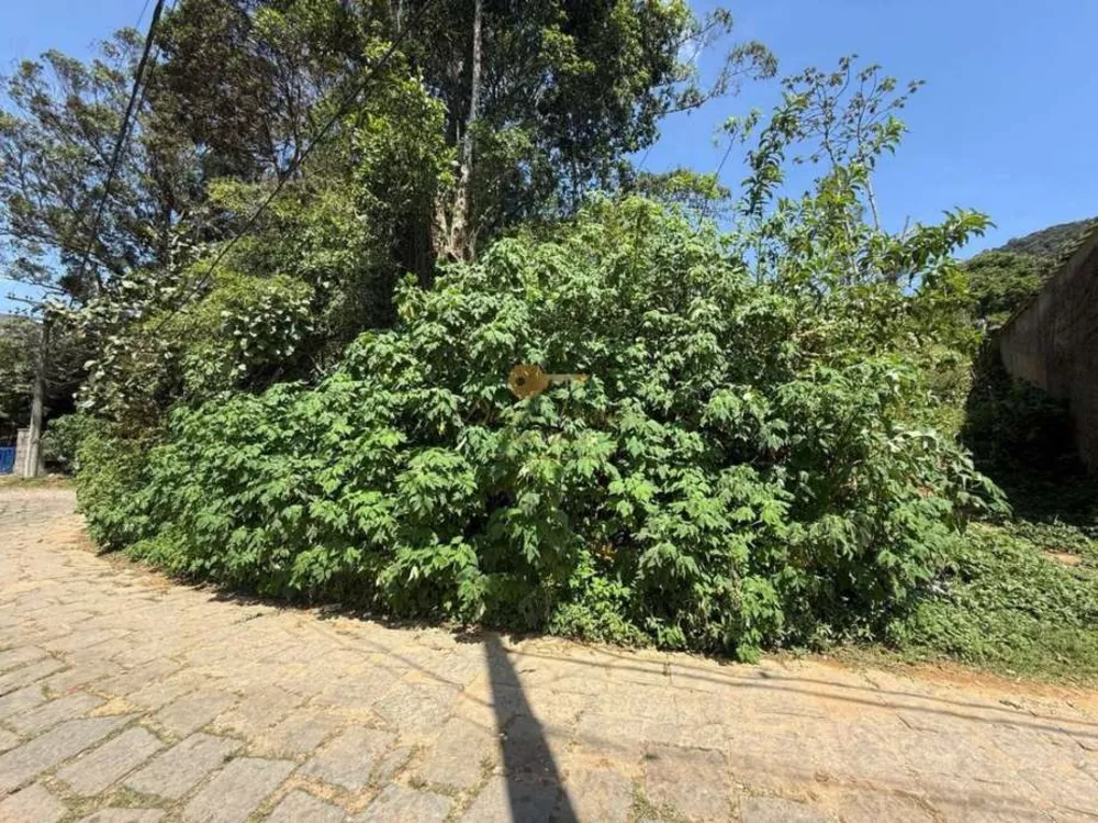 Terreno, 2994 m² - Foto 11