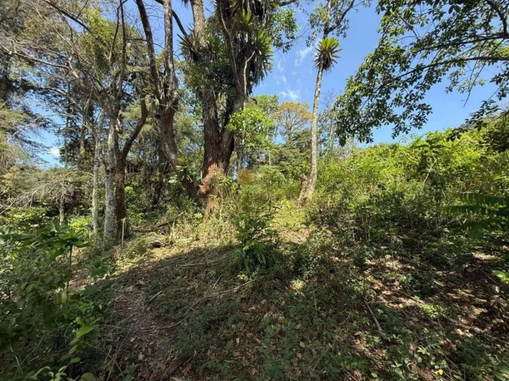 Terreno, 2994 m² - Foto 9