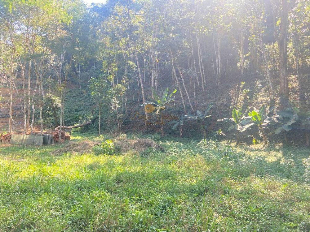 Terreno, 5000 m² - Foto 2