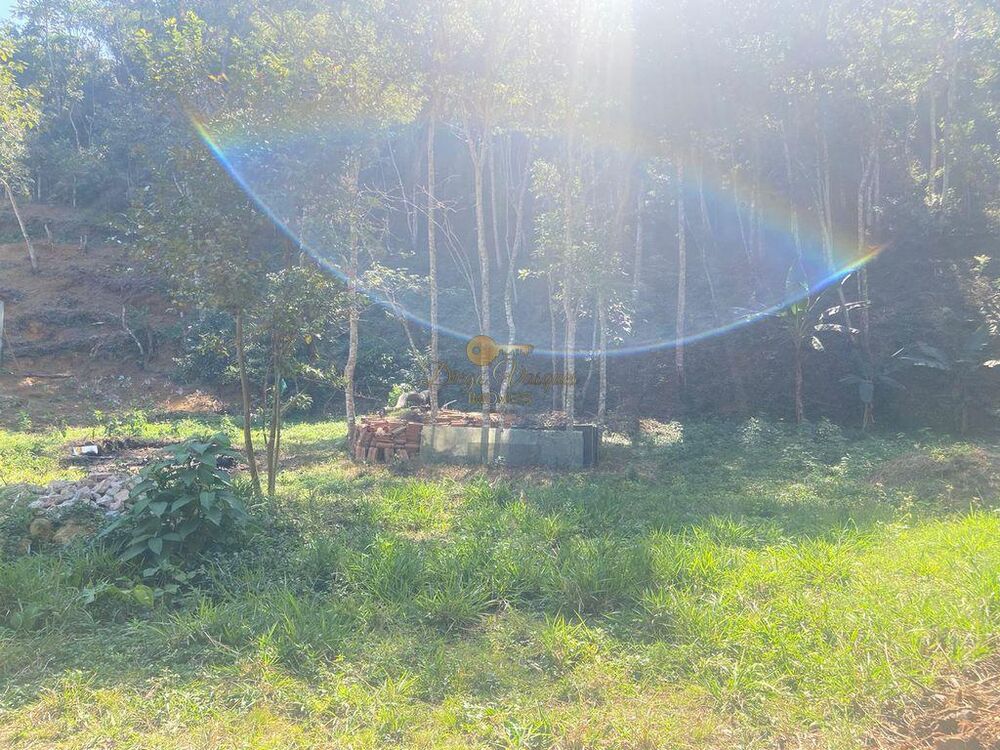 Terreno, 5000 m² - Foto 6