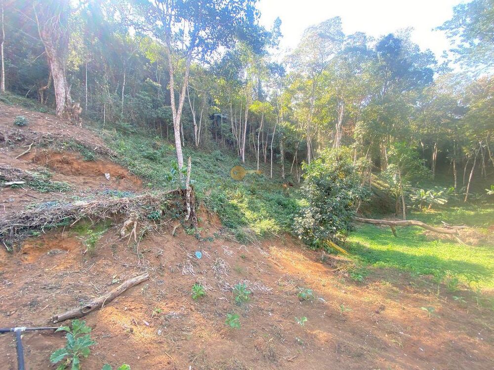 Terreno, 5000 m² - Foto 7