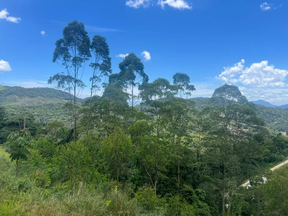 Terreno, 6641 m² - Foto 6