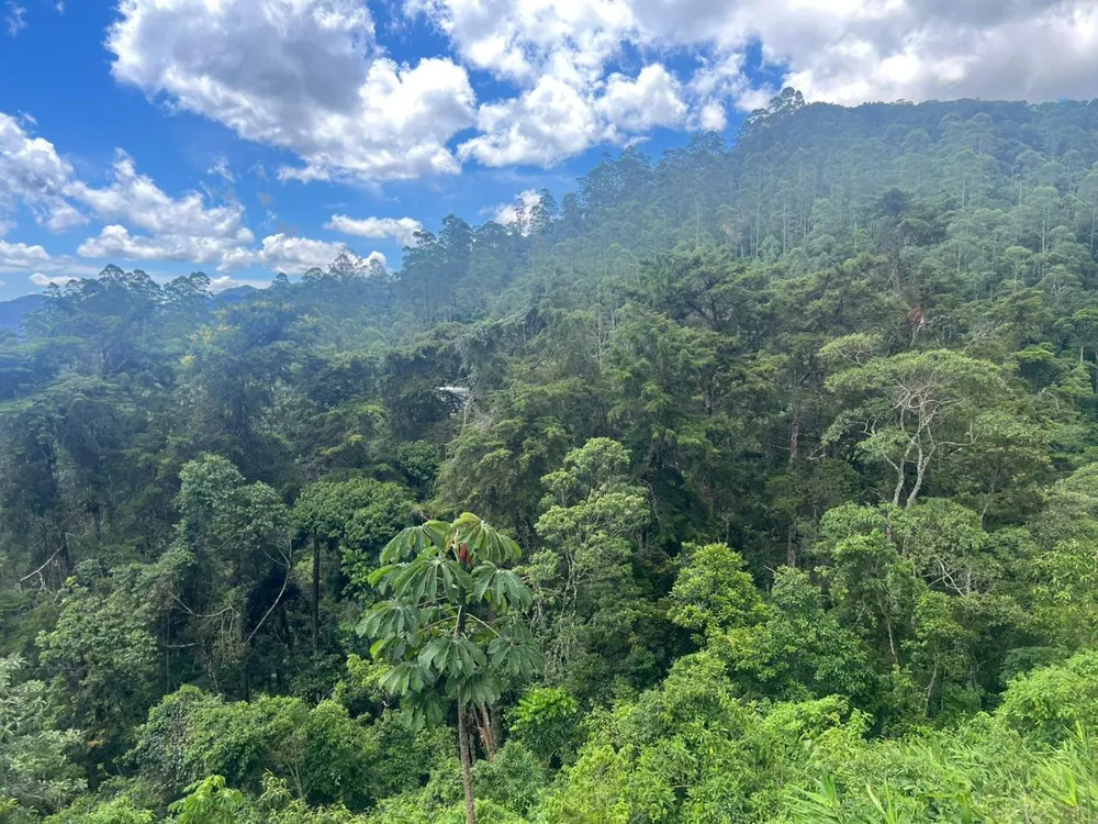 Terreno, 6641 m² - Foto 3