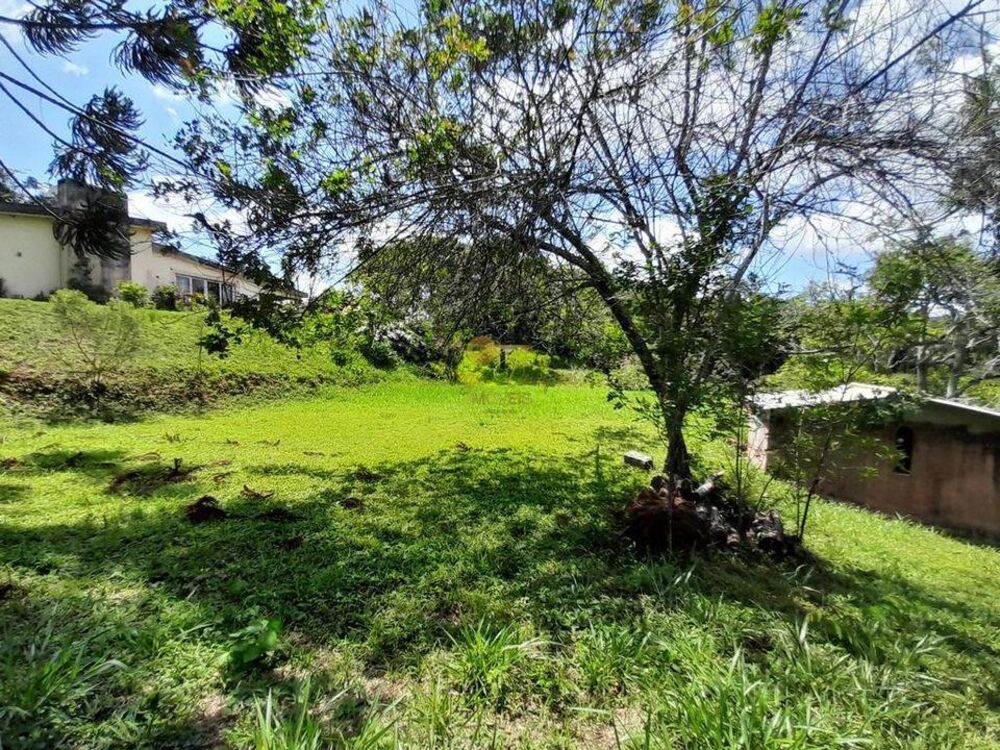 Casa, 3 quartos, 6740 m² - Foto 10