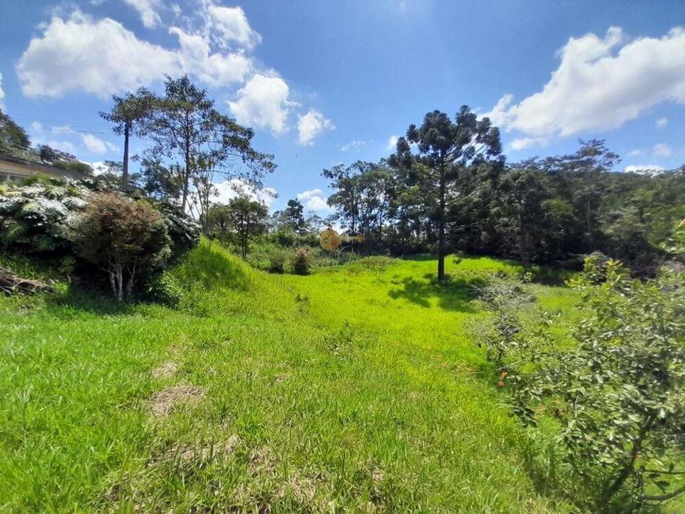 Casa, 3 quartos, 6740 m² - Foto 15