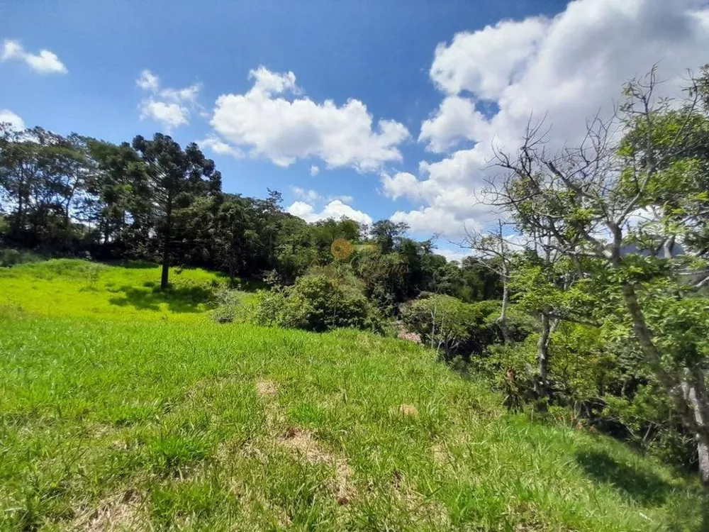 Casa, 3 quartos, 6740 m² - Foto 12