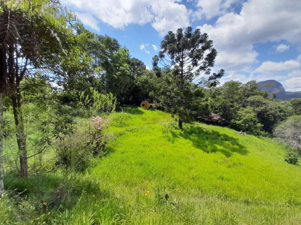 Casa, 3 quartos, 6740 m² - Foto 6