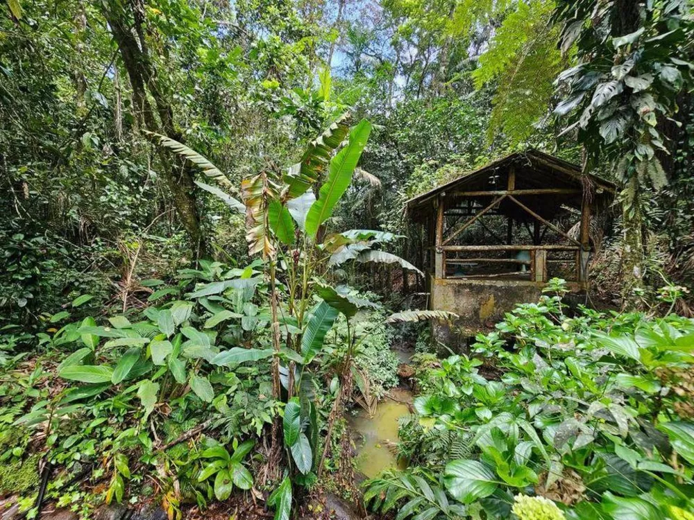 Prédio Inteiro, 40000 m² - Foto 13