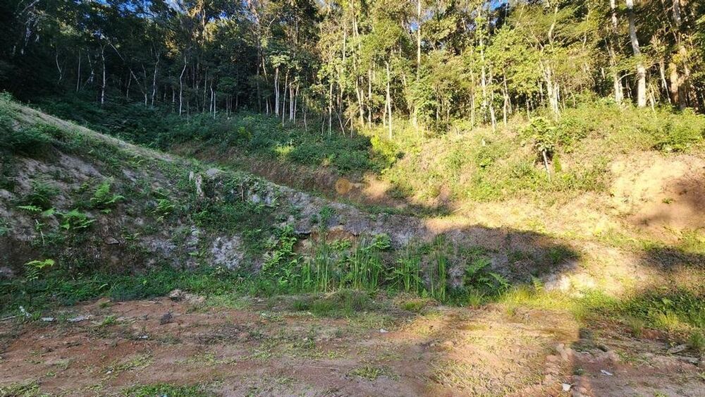 Terreno, 6000 m² - Foto 7