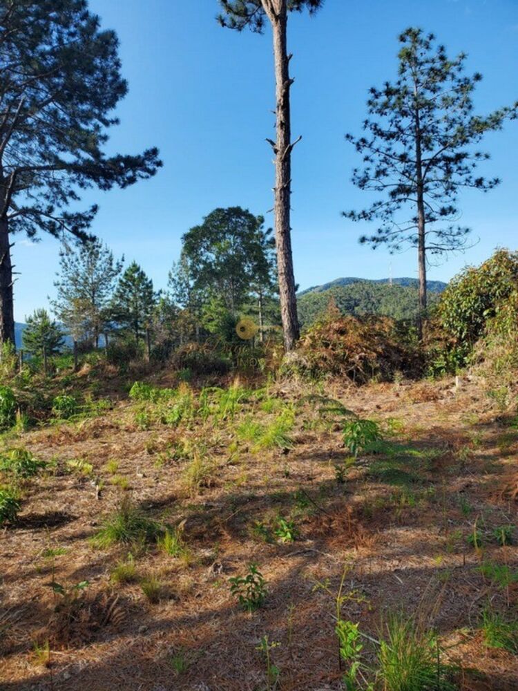 Terreno, 1102 m² - Foto 5