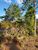 Terreno, 1102 m² - Foto 2