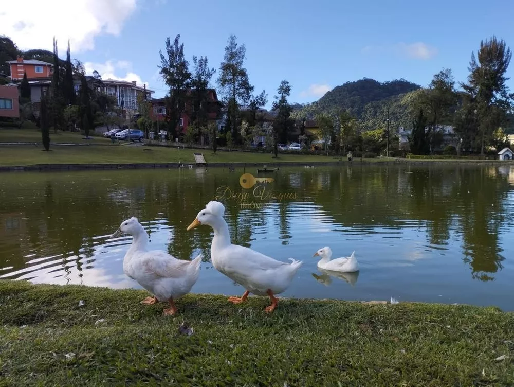 Terreno, 350 m² - Foto 11