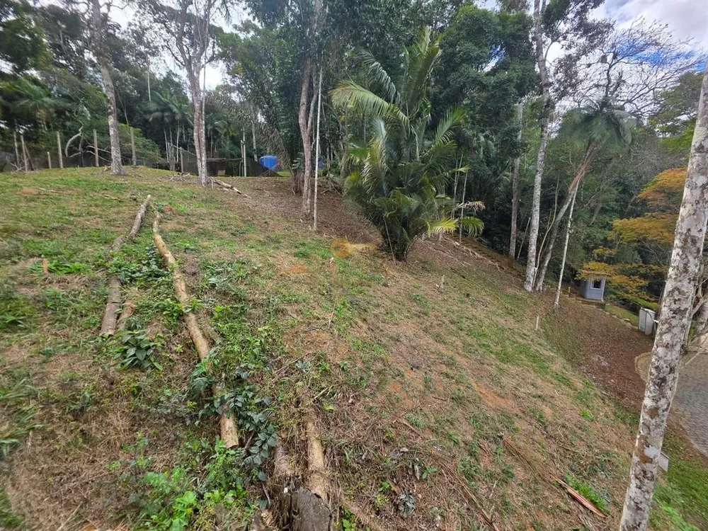 Terreno, 350 m² - Foto 5