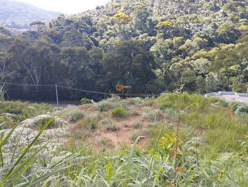 Terreno à venda, 600m² - Foto 2