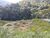 Terreno, 600 m² - Foto 2